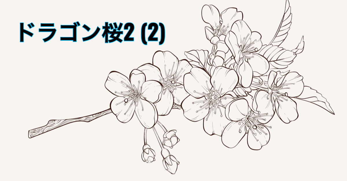 【BR vol.121】運に乗れ『ドラゴン桜2 2』
